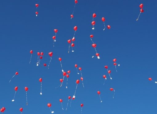 Luftballons: Gefahr für Tier & Umwelt