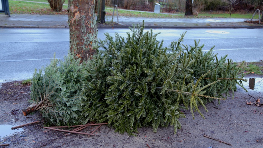 Weihnachtsbaum-Entsorgung der BSR