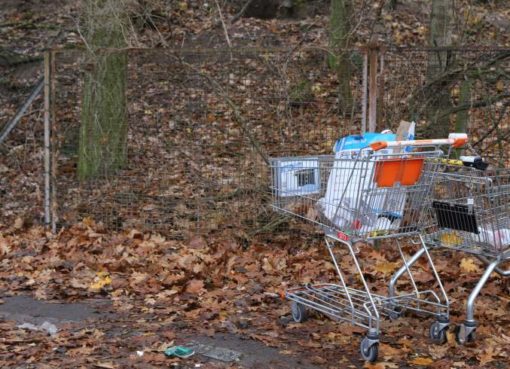 Einkaufswagen am Waldesrand