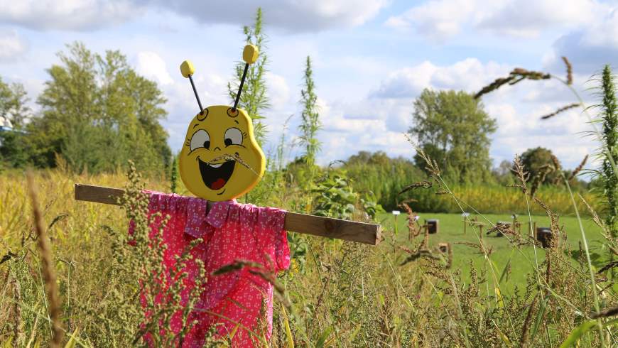 BfR-Nektar-Hektar: Bienen-Lehrpfad