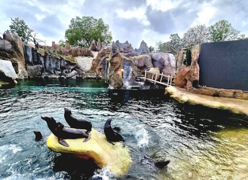 Feuerland im Zoo Leipzig eröffnet Feuerland - Neue Erlebniswelt im Leipziger Zoo